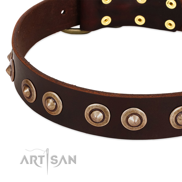 Corrosion proof studs on full grain genuine leather dog collar for your pet