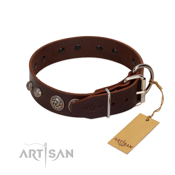 Reliable adornments on genuine leather dog collar for your four-legged friend
