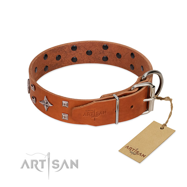 Exquisite full grain natural leather collar for your four-legged friend walking