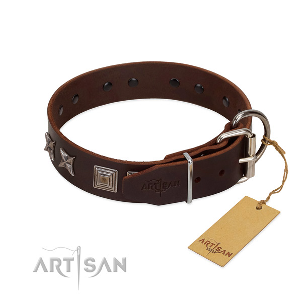 Full grain leather dog collar with top notch decorations for your doggie
