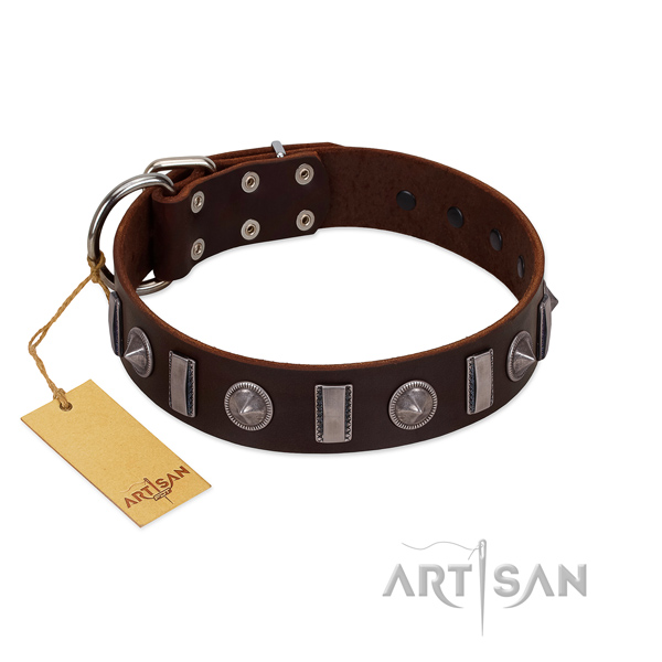 Soft natural leather dog collar with embellishments for comfortable wearing