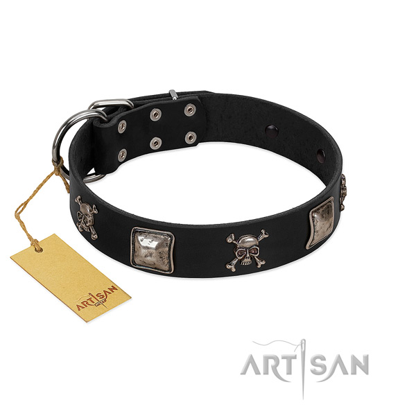 Exceptional decorated leather dog collar