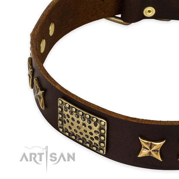 Full grain leather collar with rust-proof buckle for your attractive canine