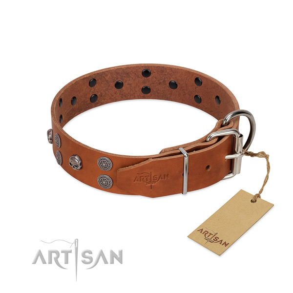 Gentle to touch full grain natural leather dog collar with decorations for fancy walking