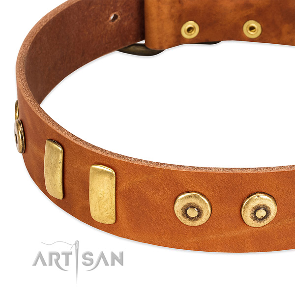 Soft to touch full grain genuine leather collar with incredible decorations for your dog