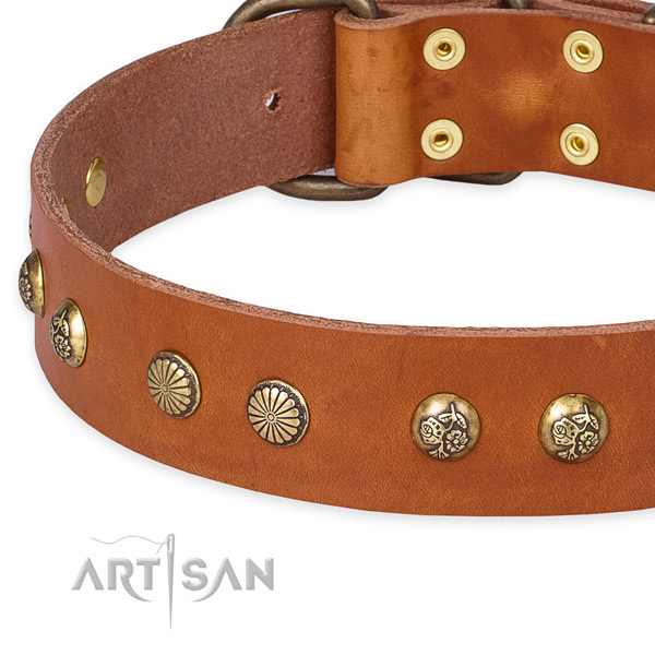 Genuine leather collar with rust resistant traditional buckle for your attractive four-legged friend
