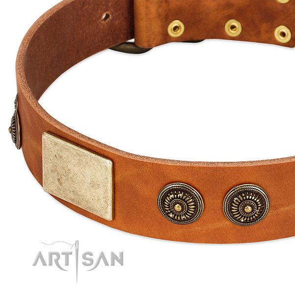 Unique dog collar made for your handsome dog