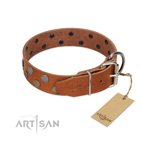 Strong fittings on leather dog collar for everyday walking