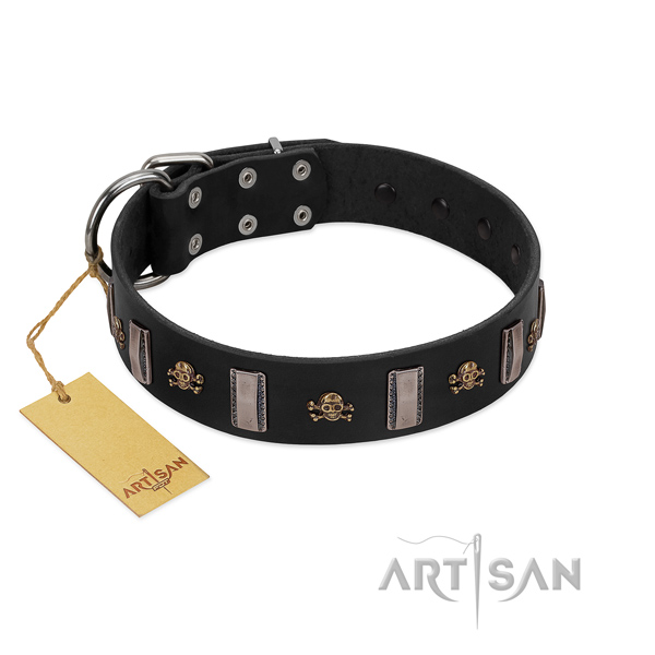 Top notch natural leather dog collar for your handsome dog