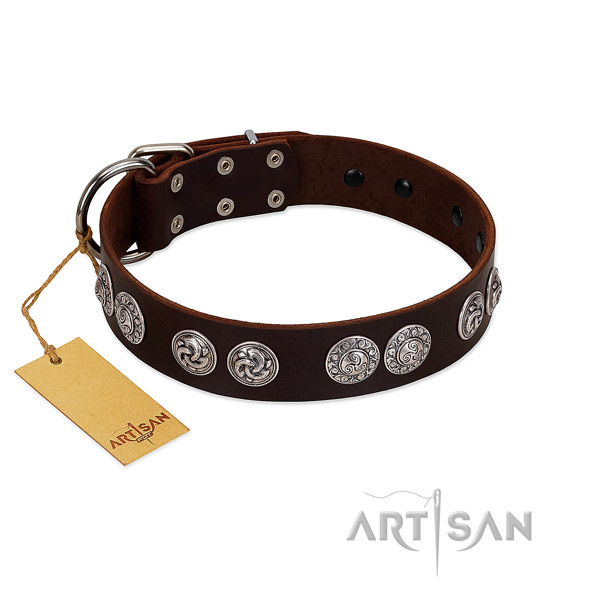 Extraordinary full grain leather collar for your doggie walking in style
