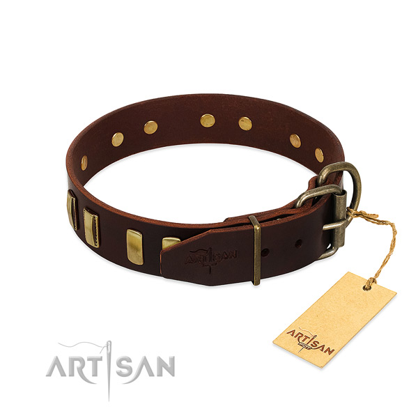 Leather dog collar with corrosion proof traditional buckle for walking