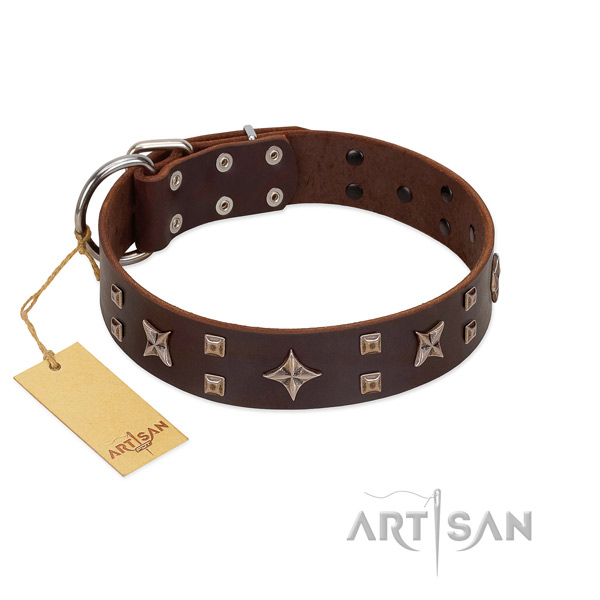 Unique full grain leather dog collar for walking your pet