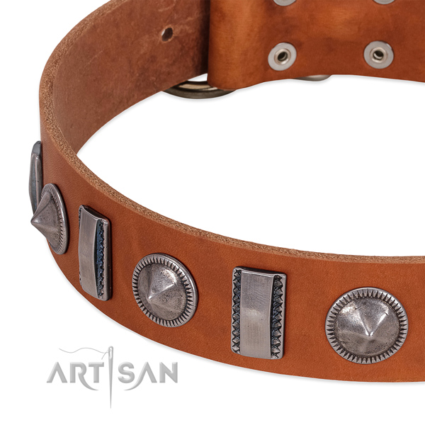 Designer adorned natural leather dog collar for daily walking