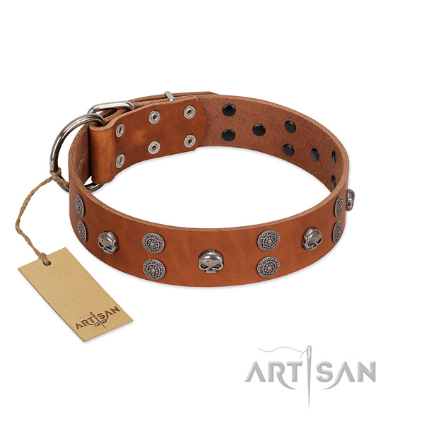 Top notch full grain genuine leather dog collar with embellishments for easy wearing