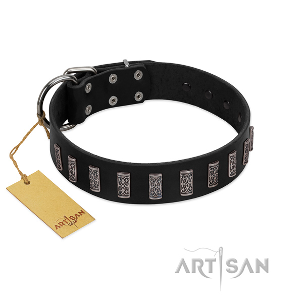High quality leather dog collar with rust resistant D-ring