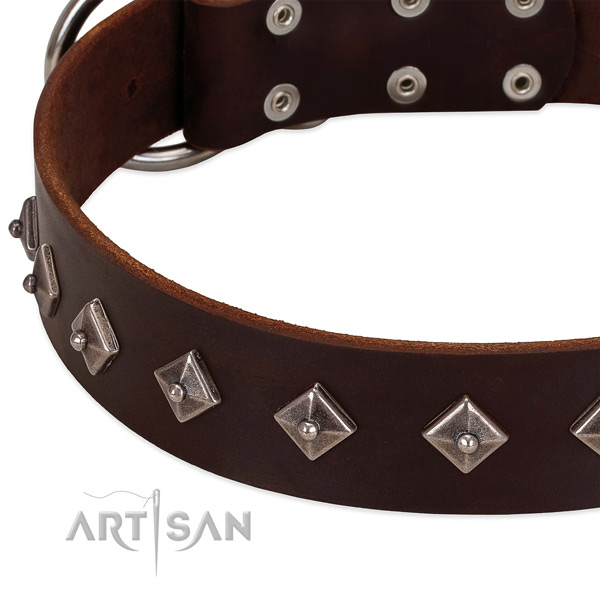 Easy to adjust collar of genuine leather for your four-legged friend