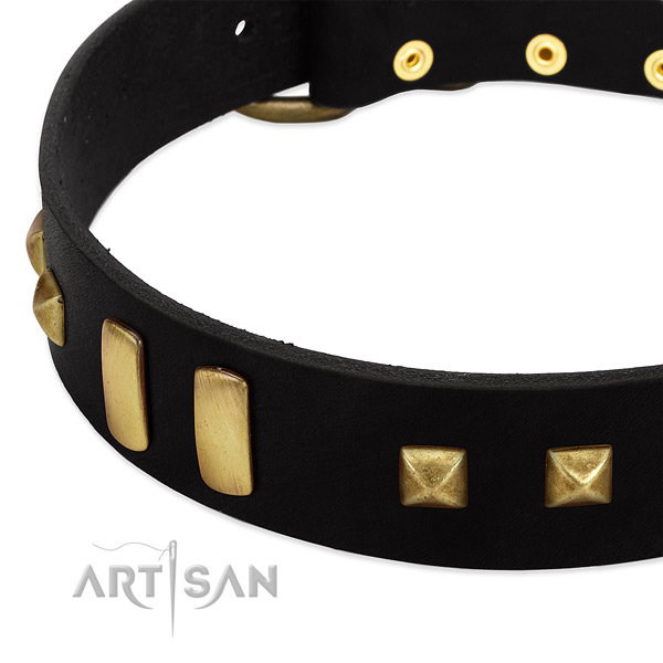 Top rate leather dog collar with studs for daily use