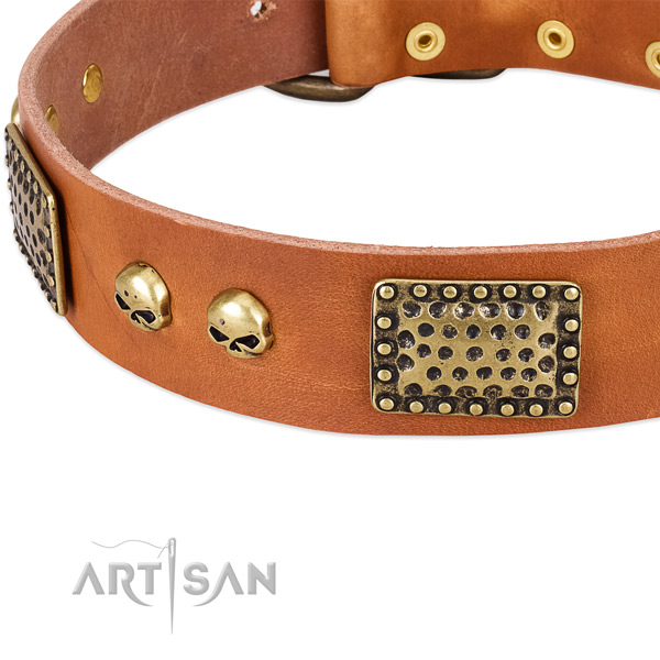 Durable D-ring on full grain leather dog collar for your canine