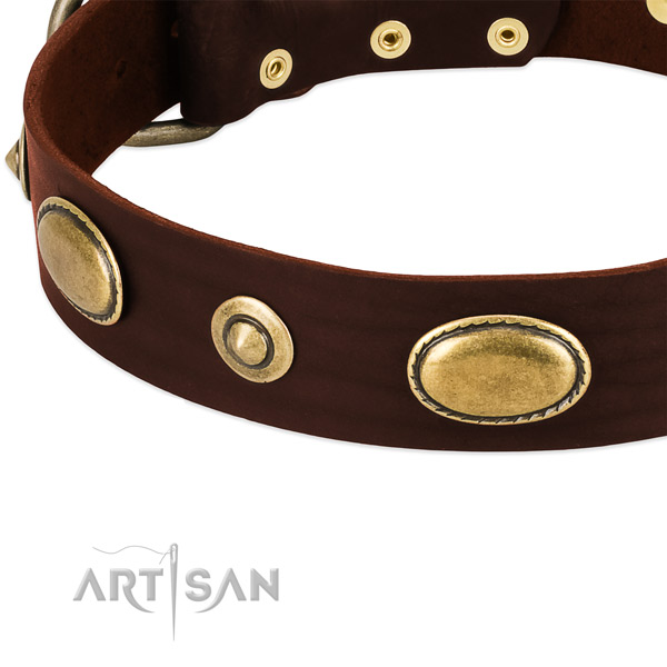 Rust resistant buckle on leather dog collar for your four-legged friend