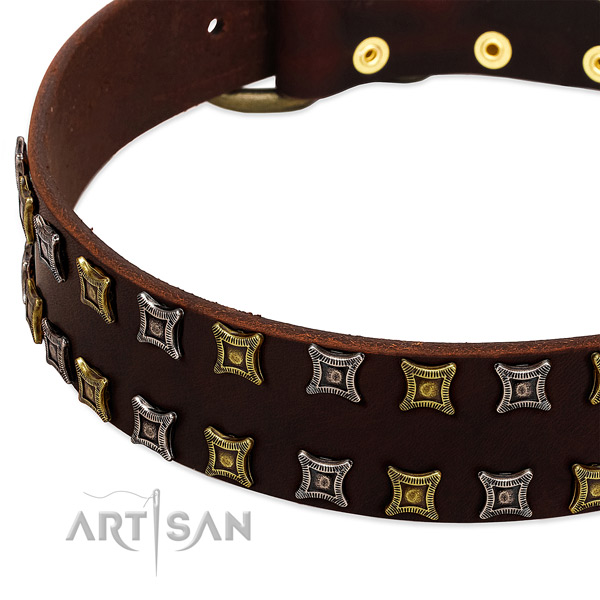 Top rate full grain leather dog collar for your stylish four-legged friend