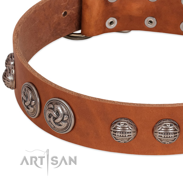 Corrosion resistant fittings on natural genuine leather collar for walking your dog