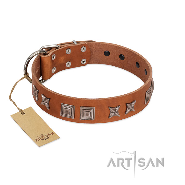 Full grain leather dog collar with impressive decorations handmade four-legged friend