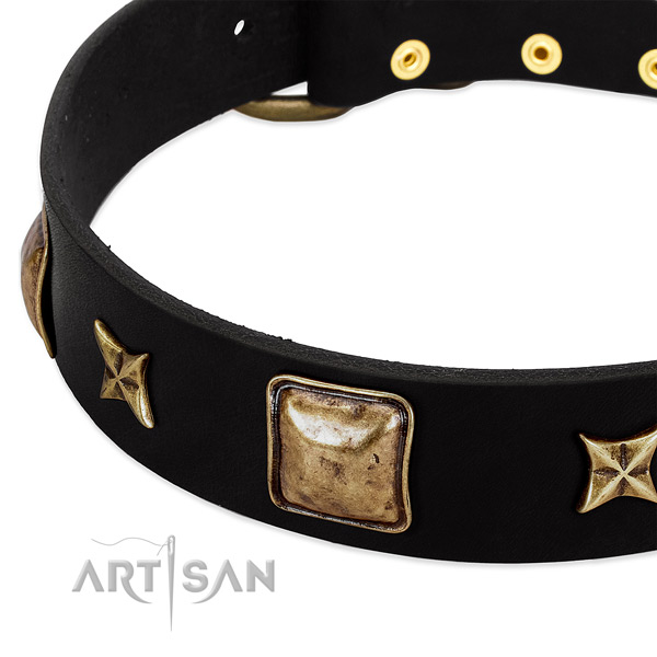 Full grain genuine leather dog collar with extraordinary embellishments