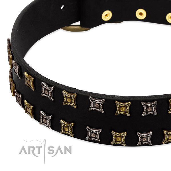 Strong leather dog collar for your beautiful pet