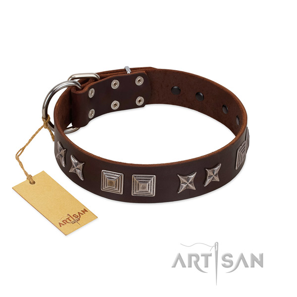 Natural leather dog collar with unusual embellishments crafted doggie