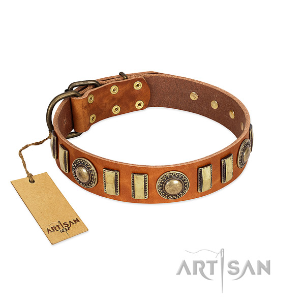 Fine quality full grain leather dog collar with strong traditional buckle