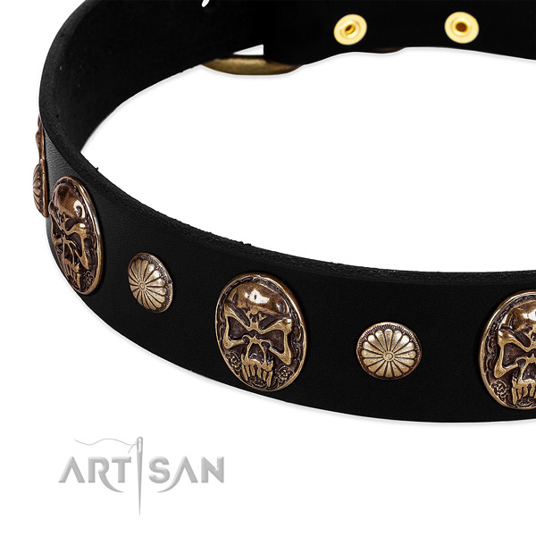 Leather dog collar with amazing adornments