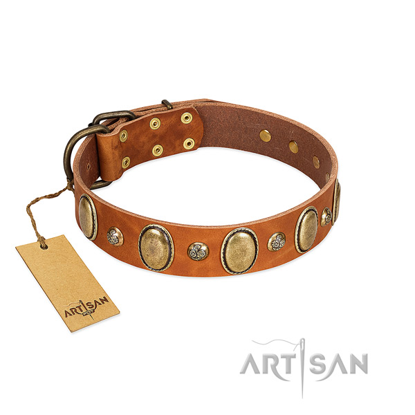 Full grain leather dog collar of soft to touch material with stylish decorations