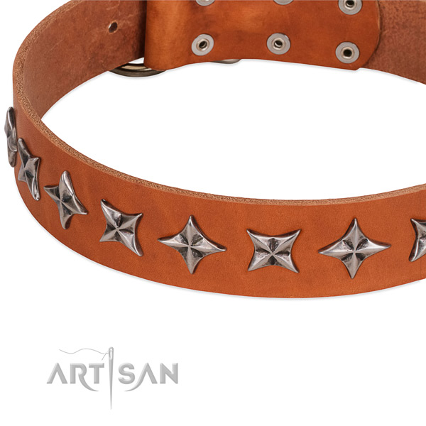 Everyday use embellished dog collar of strong full grain natural leather