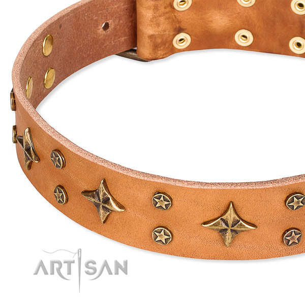 Comfy wearing decorated dog collar of fine quality full grain natural leather