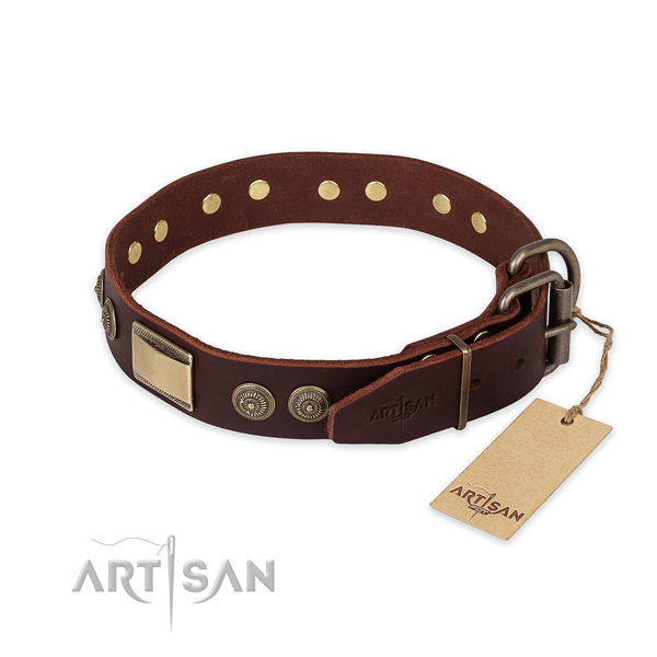 Strong traditional buckle on genuine leather collar for daily walking your pet