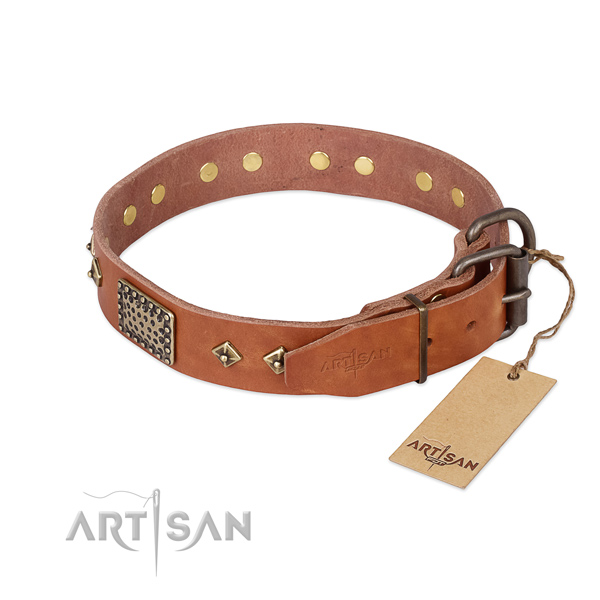 Full grain genuine leather dog collar with strong hardware and embellishments