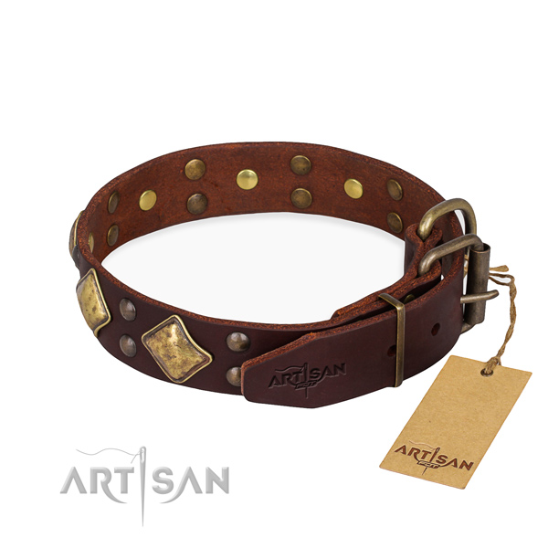 Full grain natural leather dog collar with unusual durable embellishments
