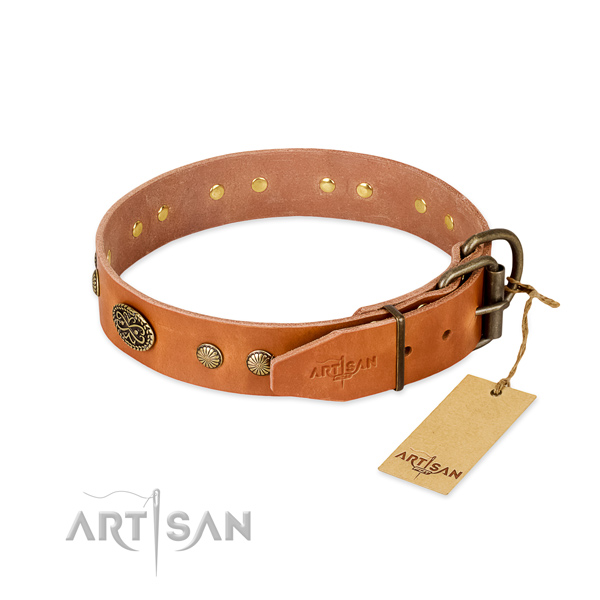Rust resistant studs on full grain leather dog collar for your canine