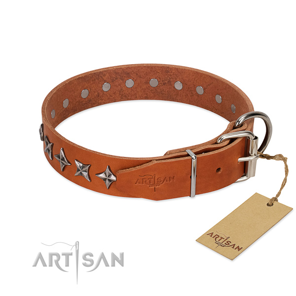Everyday use adorned dog collar of reliable full grain genuine leather