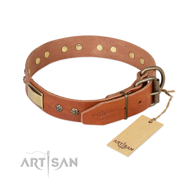 Full grain leather dog collar with corrosion resistant hardware and embellishments