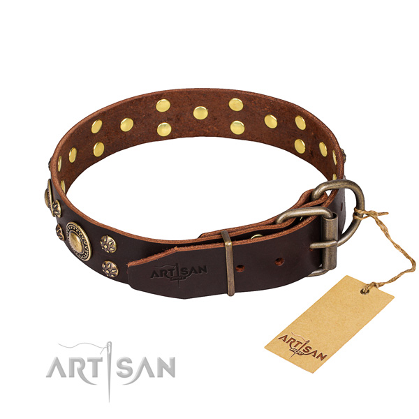 Everyday use decorated dog collar of strong leather