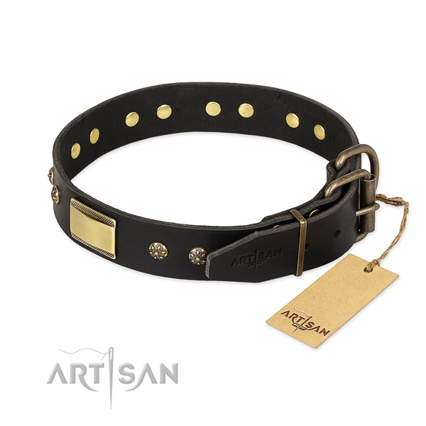 Full grain genuine leather dog collar with rust resistant fittings and studs