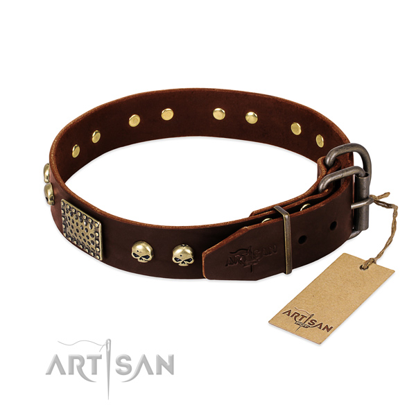 Durable traditional buckle on walking dog collar