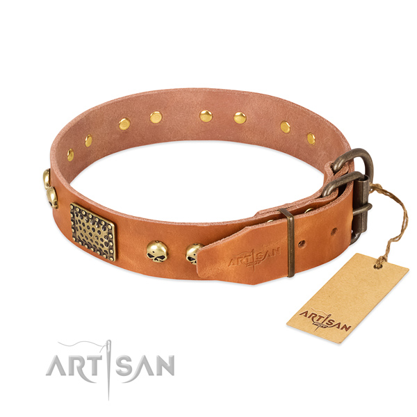 Rust-proof hardware on daily walking dog collar