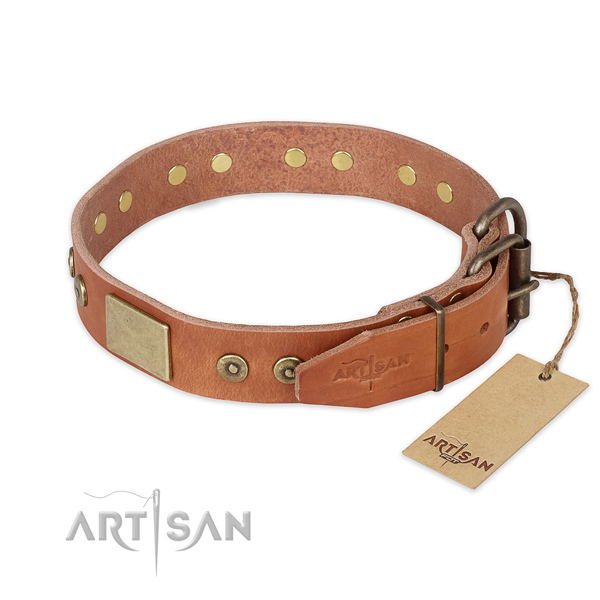 Rust resistant buckle on full grain genuine leather collar for everyday walking your canine