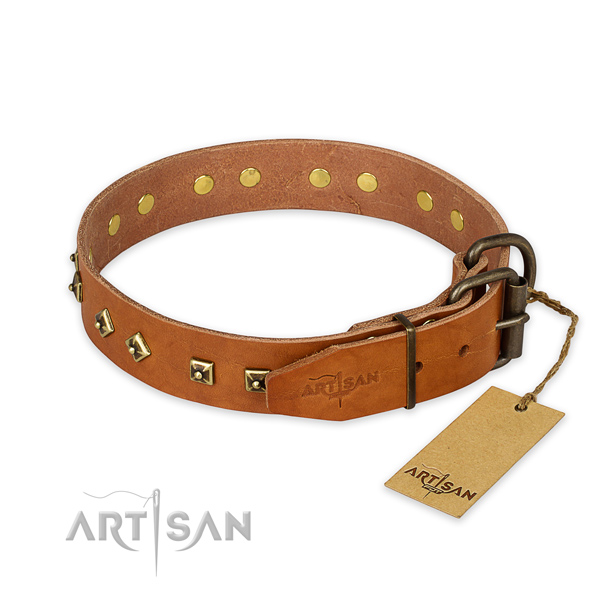 Corrosion proof hardware on leather collar for stylish walking your pet