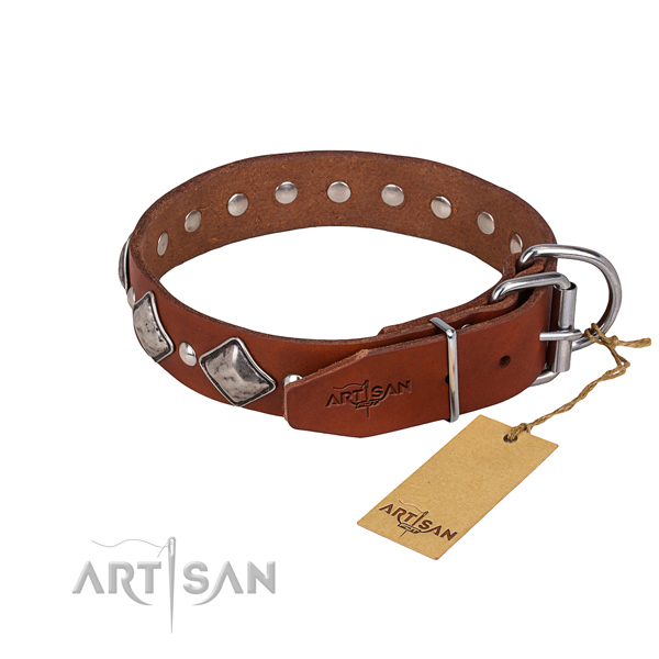 Fancy walking decorated dog collar of quality full grain natural leather