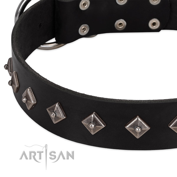 Embellished collar of leather for your handsome four-legged friend