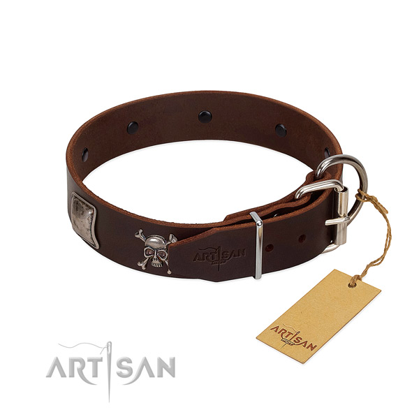 Stunning full grain natural leather collar for your beautiful dog