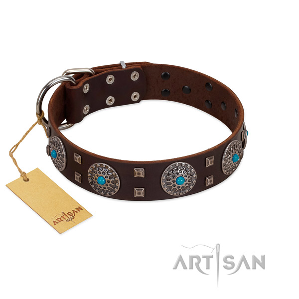 Everyday use leather dog collar with exceptional adornments